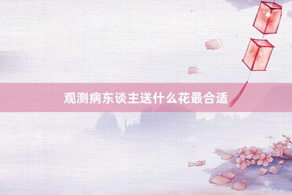观测病东谈主送什么花最合适