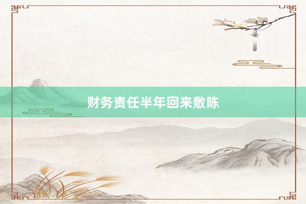 财务责任半年回来敷陈